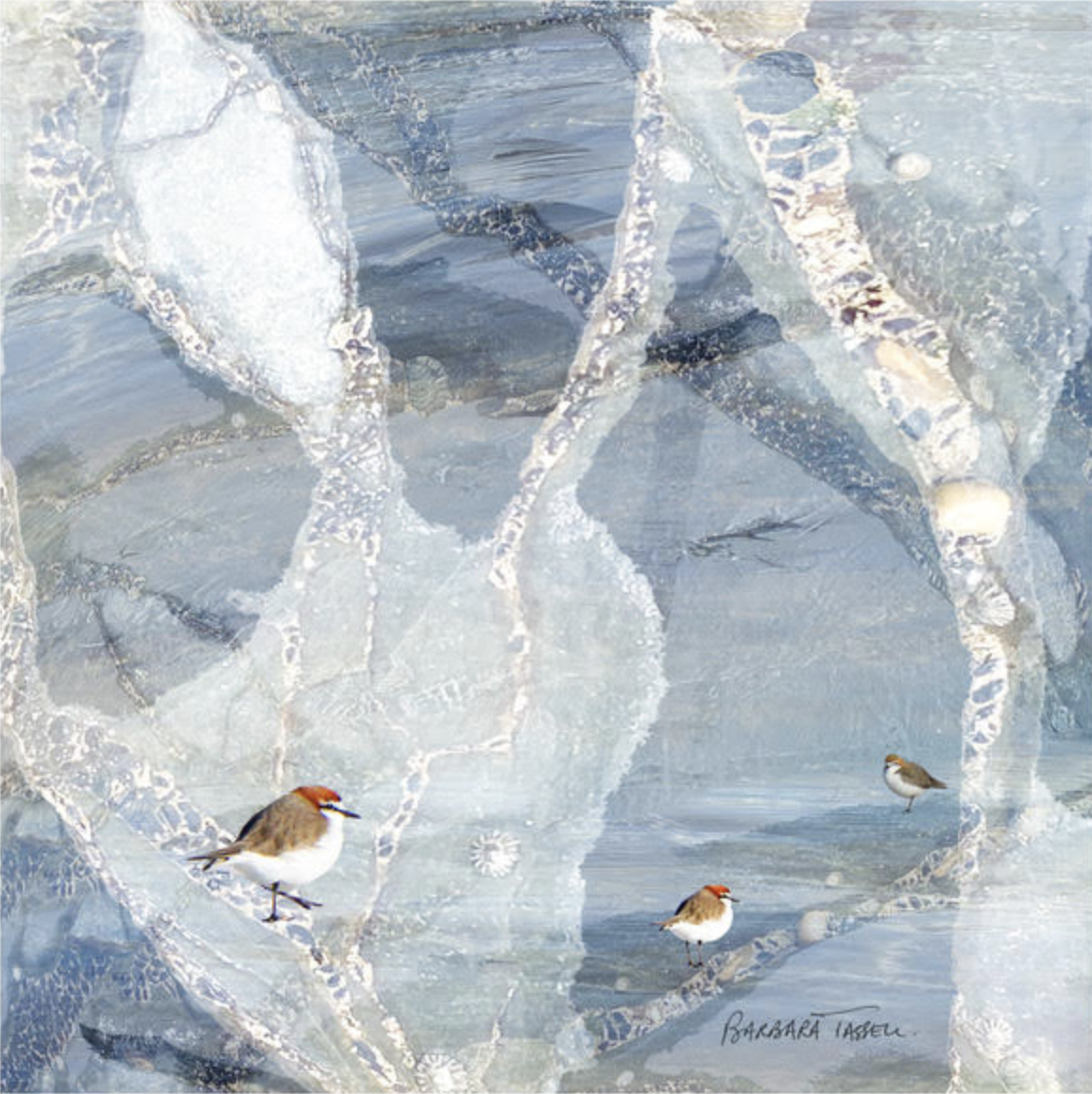 Barbara Tassell - Ocean's Edge 3