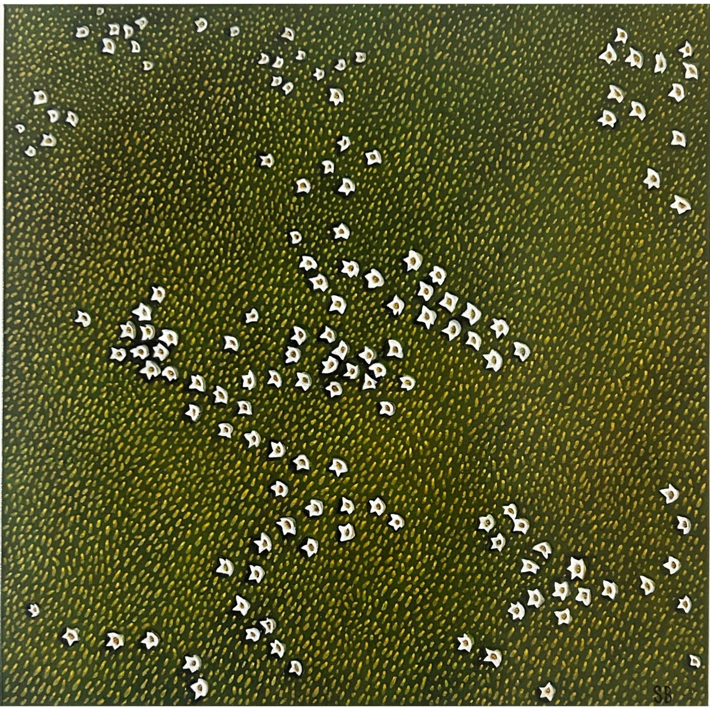 Stalley Briton - Cushion Plant