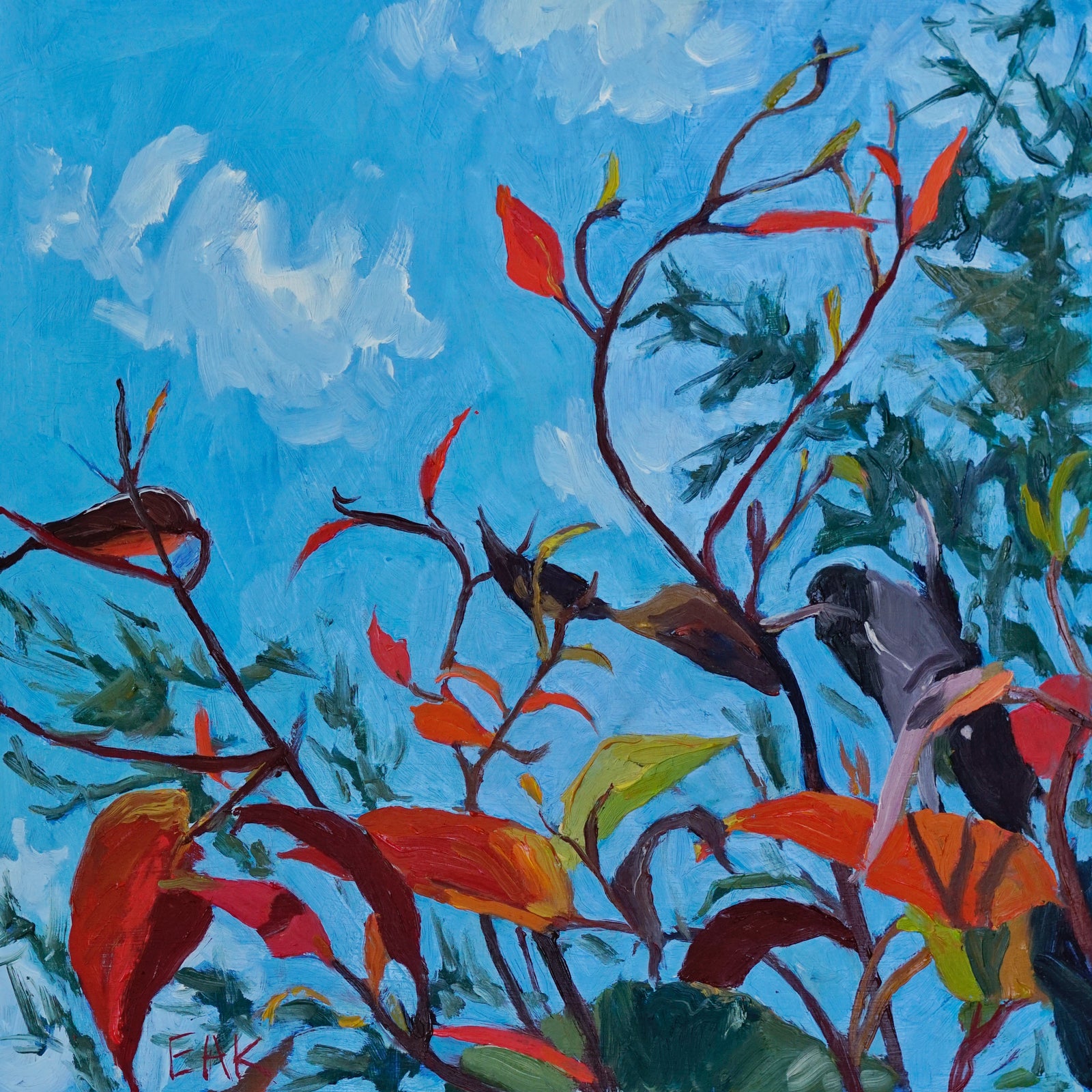 Eleanor Ann Kramer - Summer Skies