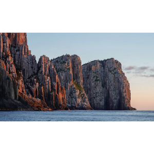 Tasman Wildlife Photography Workshop