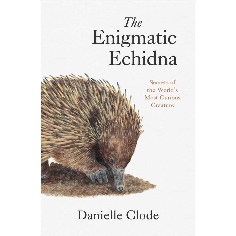 The Enigmatic Echidna