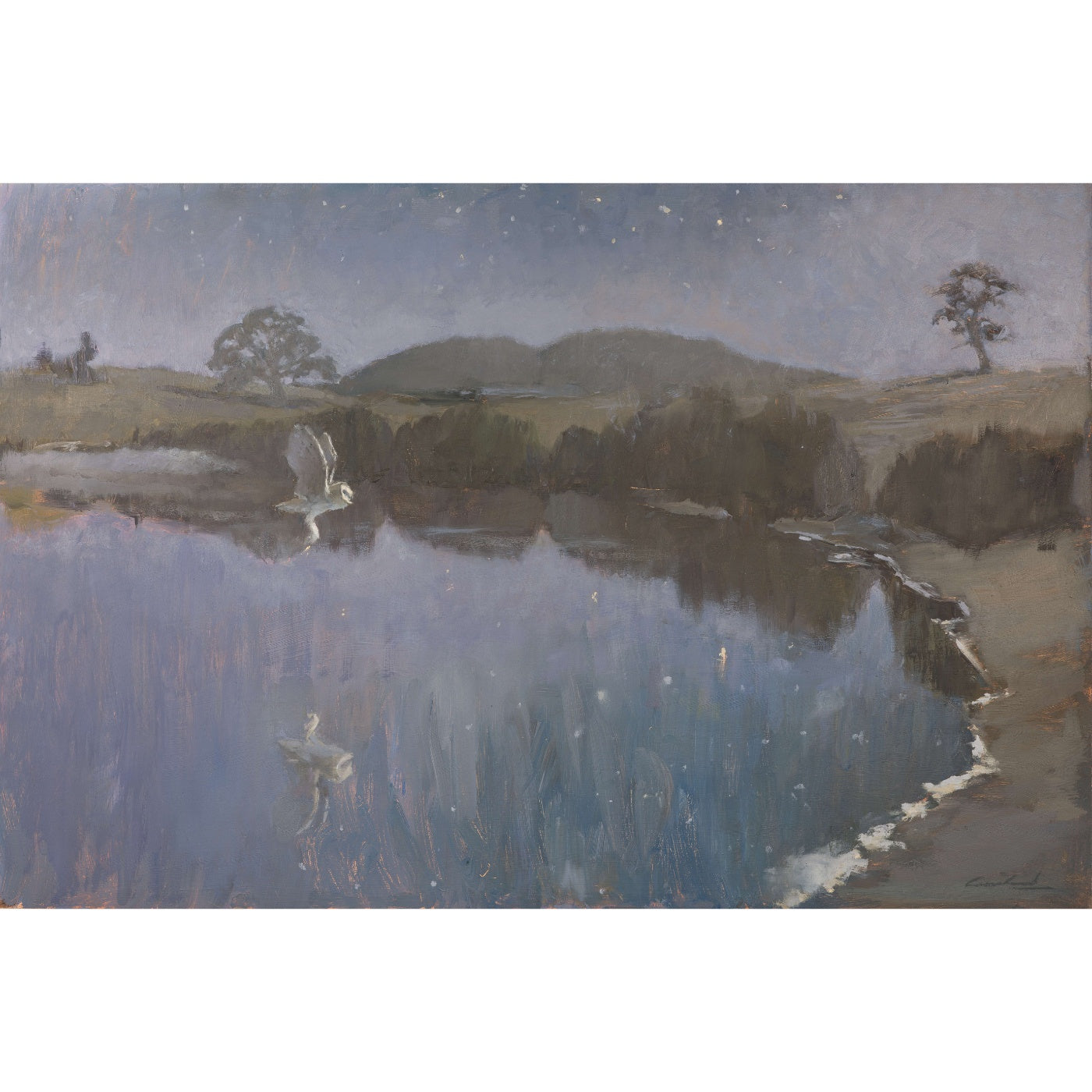 Rick Crossland - Moonlight Masked Owl