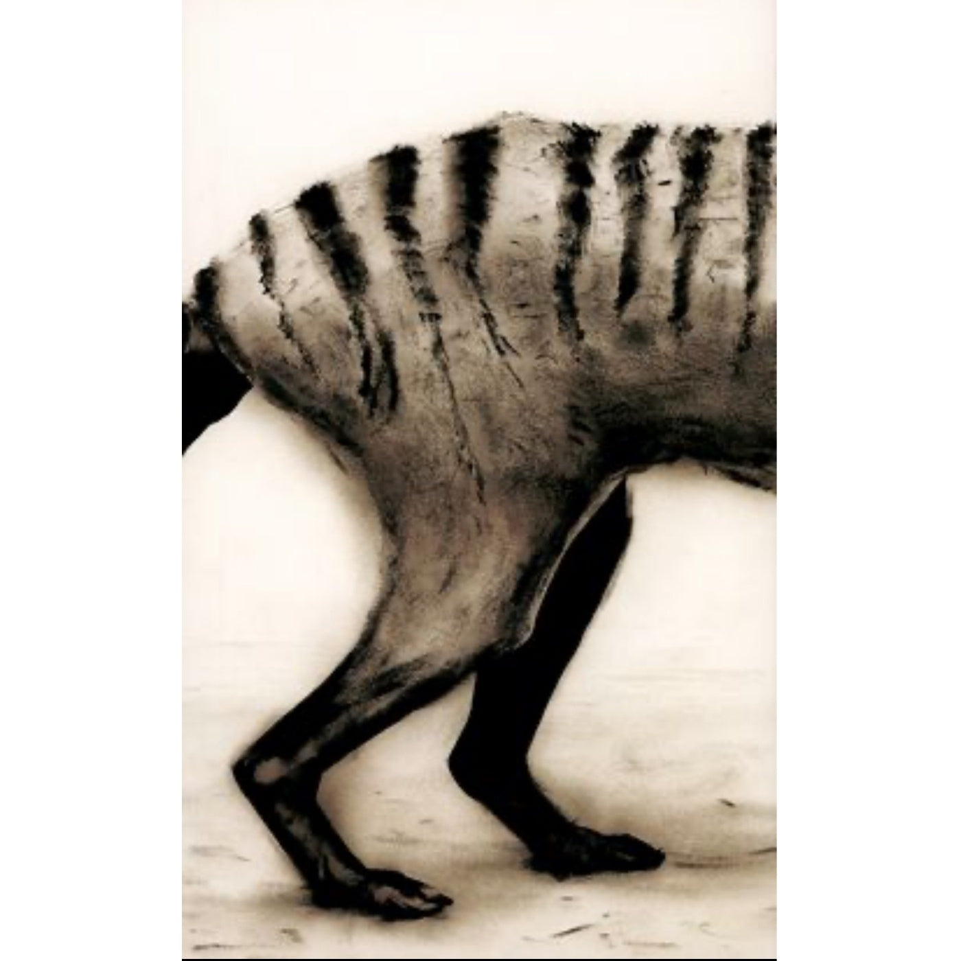 Geoff Tuck - Loss (Series 2)