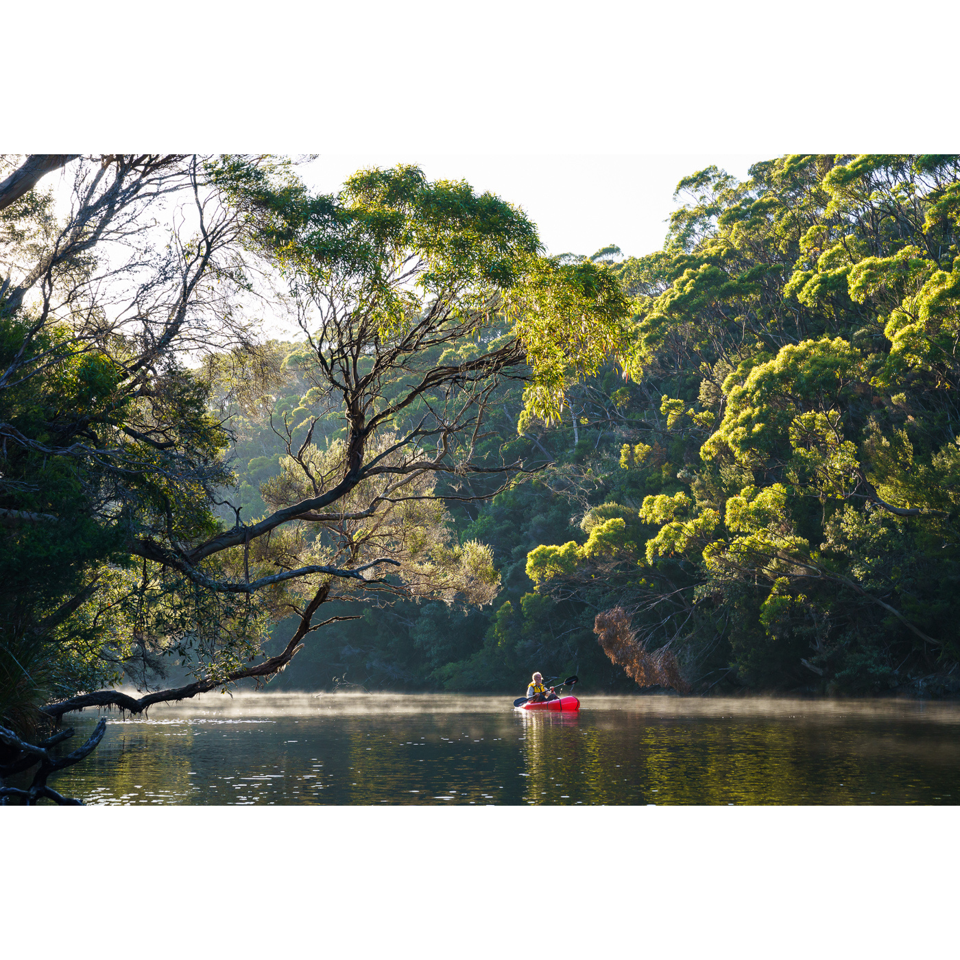 Grant Dixon - Rising Mist, Mainwaring River