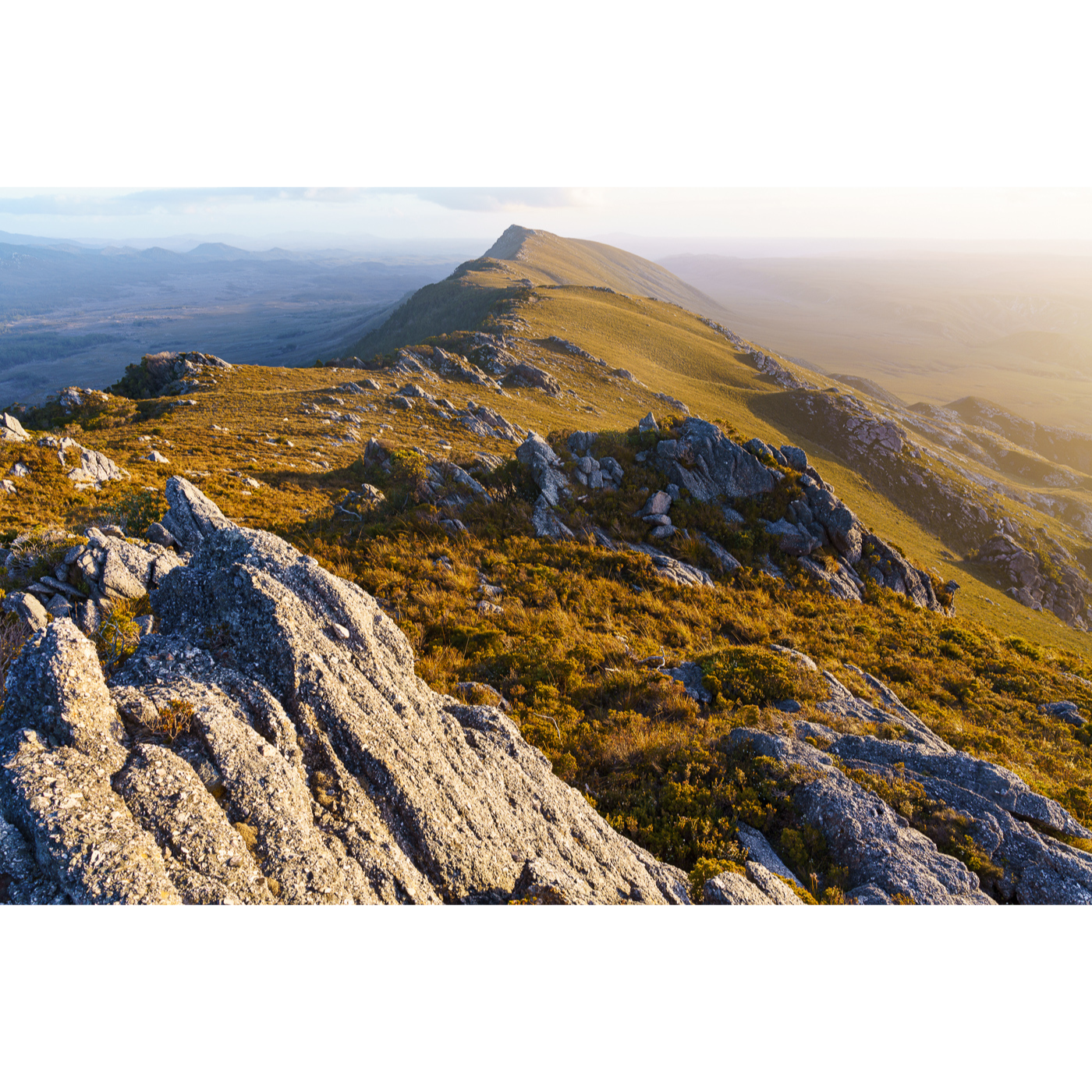 Grant Dixon - Dipping Strata, D-Aguilar Range