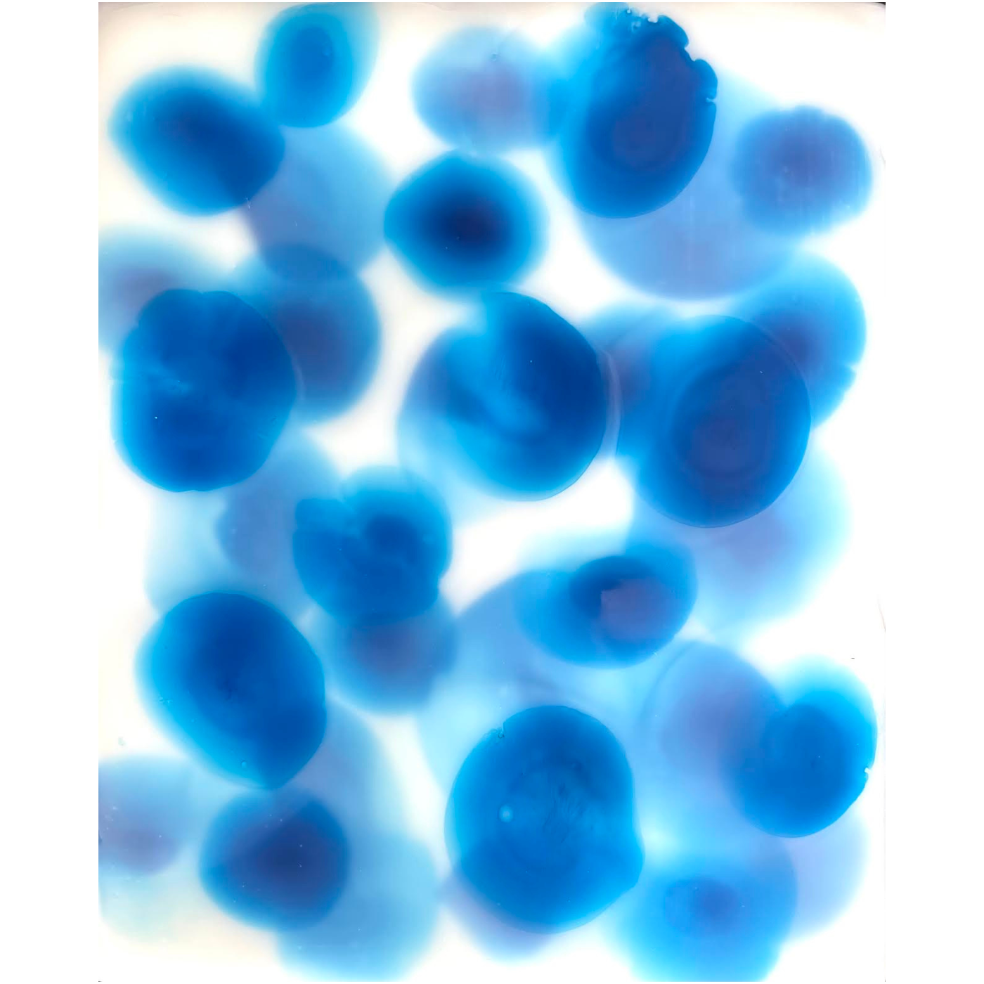 Geoff Tuck - Ocean Jewels in Phthalo Blue I