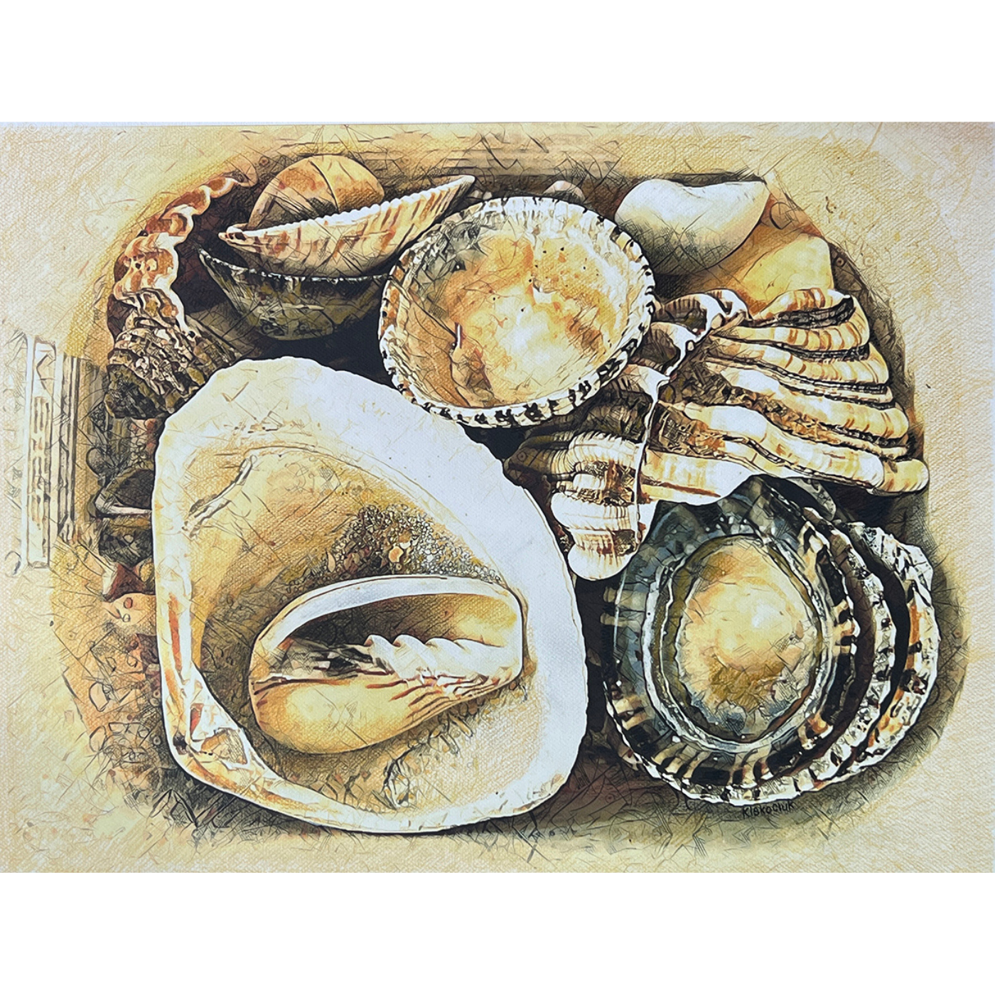 Richard Klekociuk - The Shell Collector