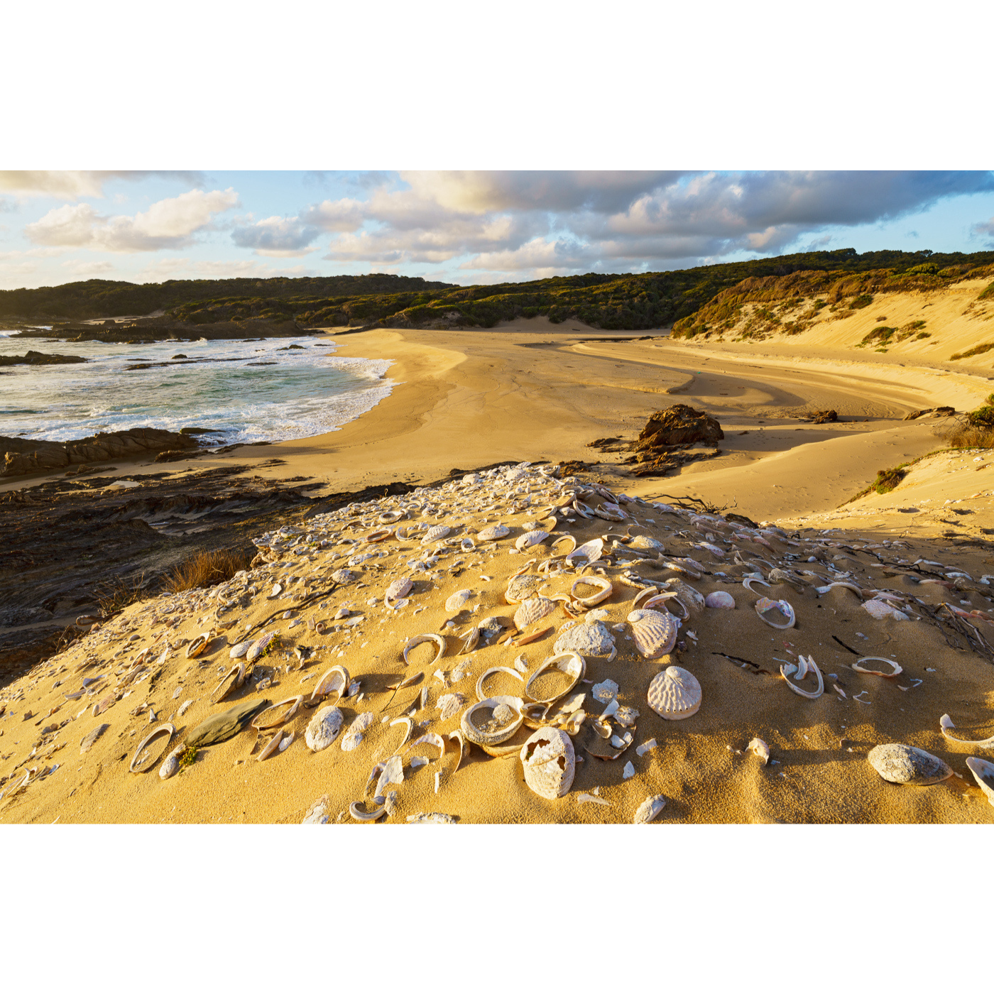Grant Dixon - Aboriginal Midden, Sassy Creek
