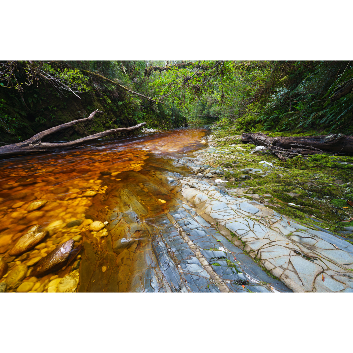 Grant Dixon - Cambrian Strata, Spero River