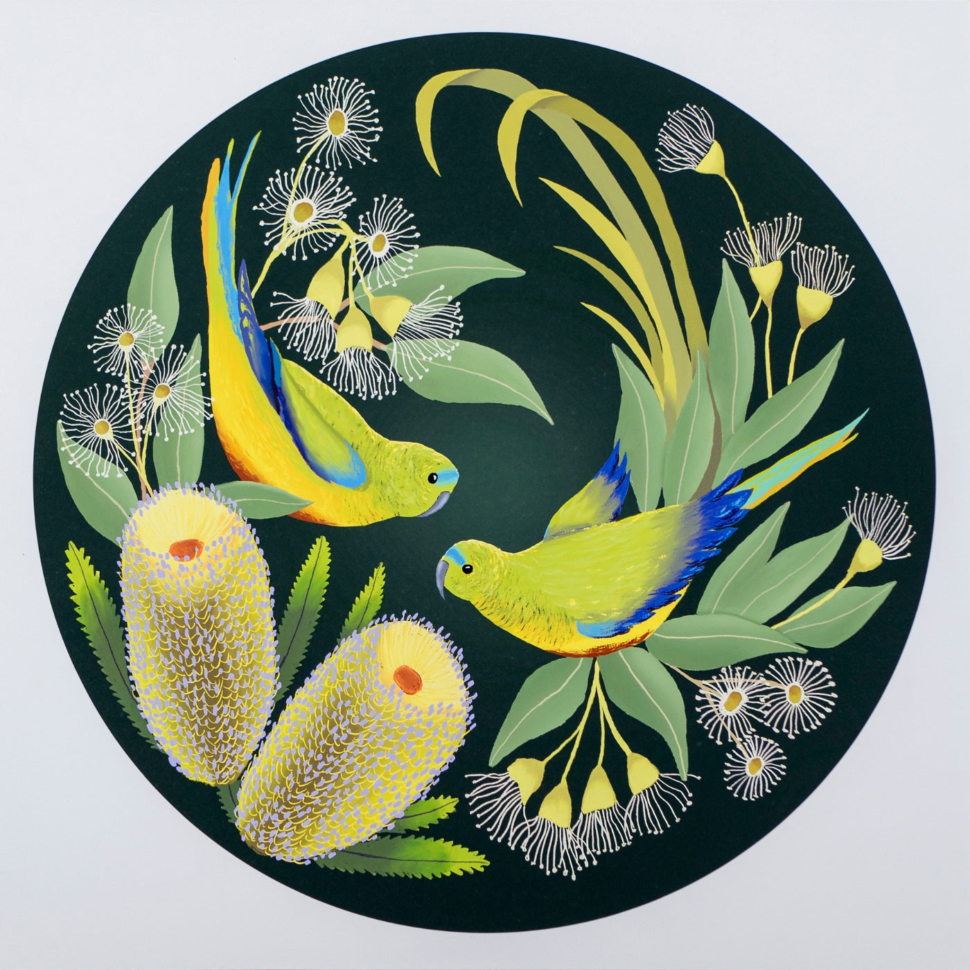 James Spencer - Orange Bellied Parrots