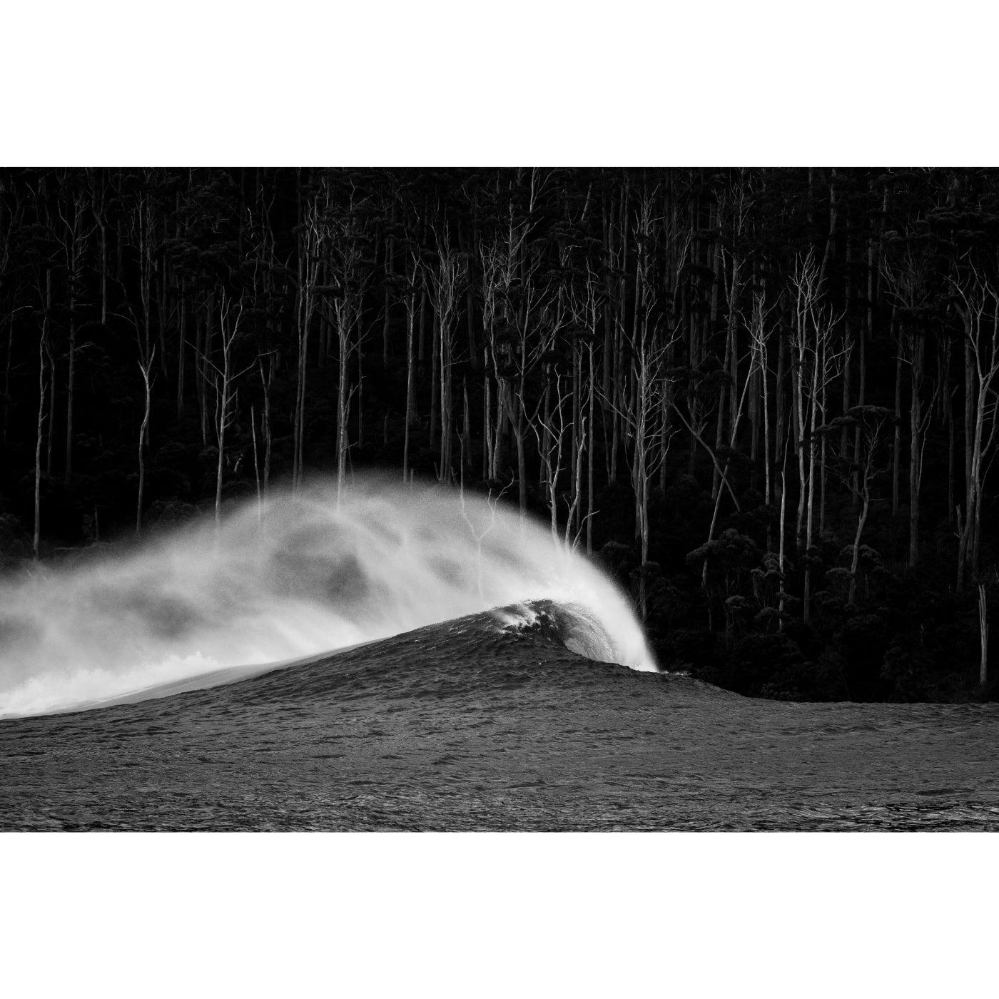 Nick Green - Ghost Trees