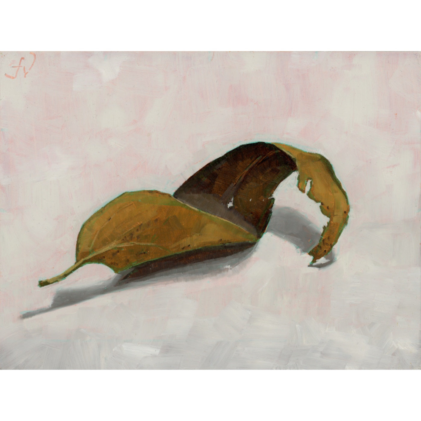 Fiona Verdouw - Curly Whirly