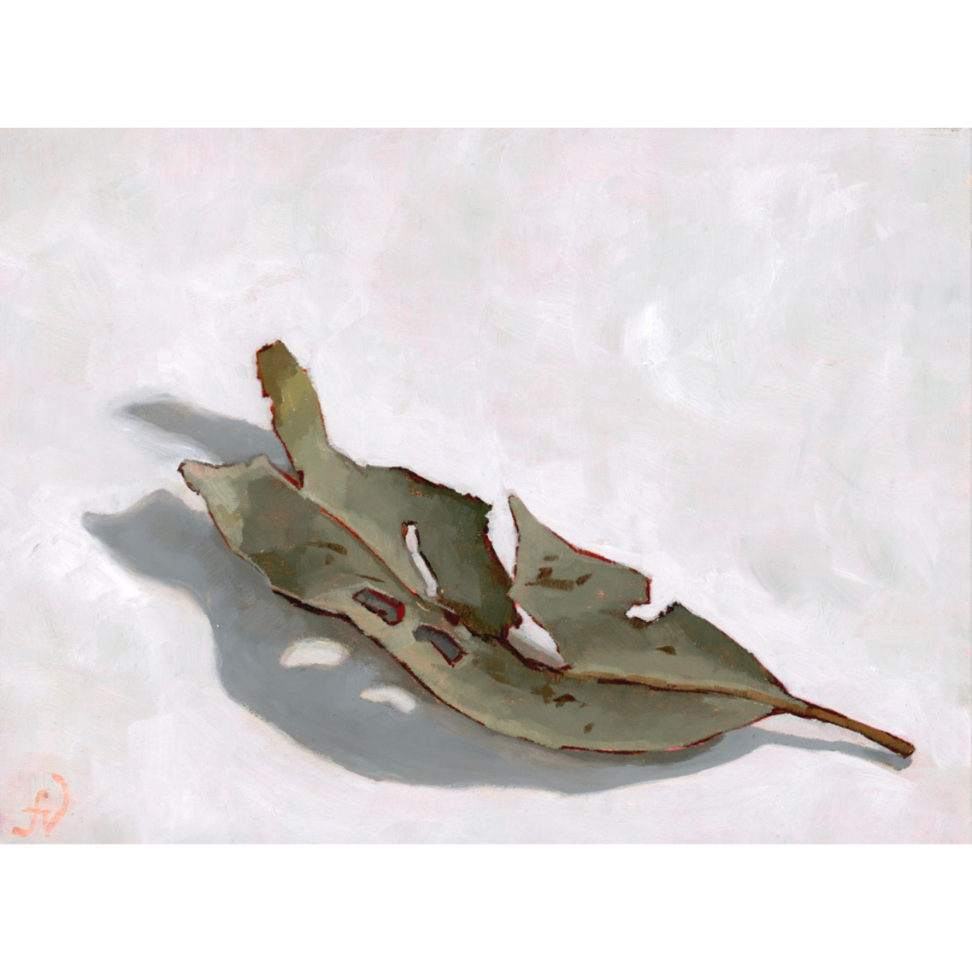 Fiona Verdouw - Pitted Olive