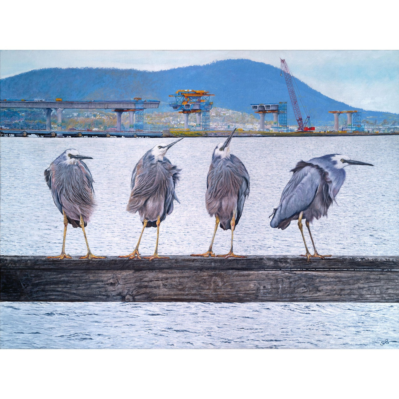 Scott Wilmot Bennett - Blue Crane Flyover