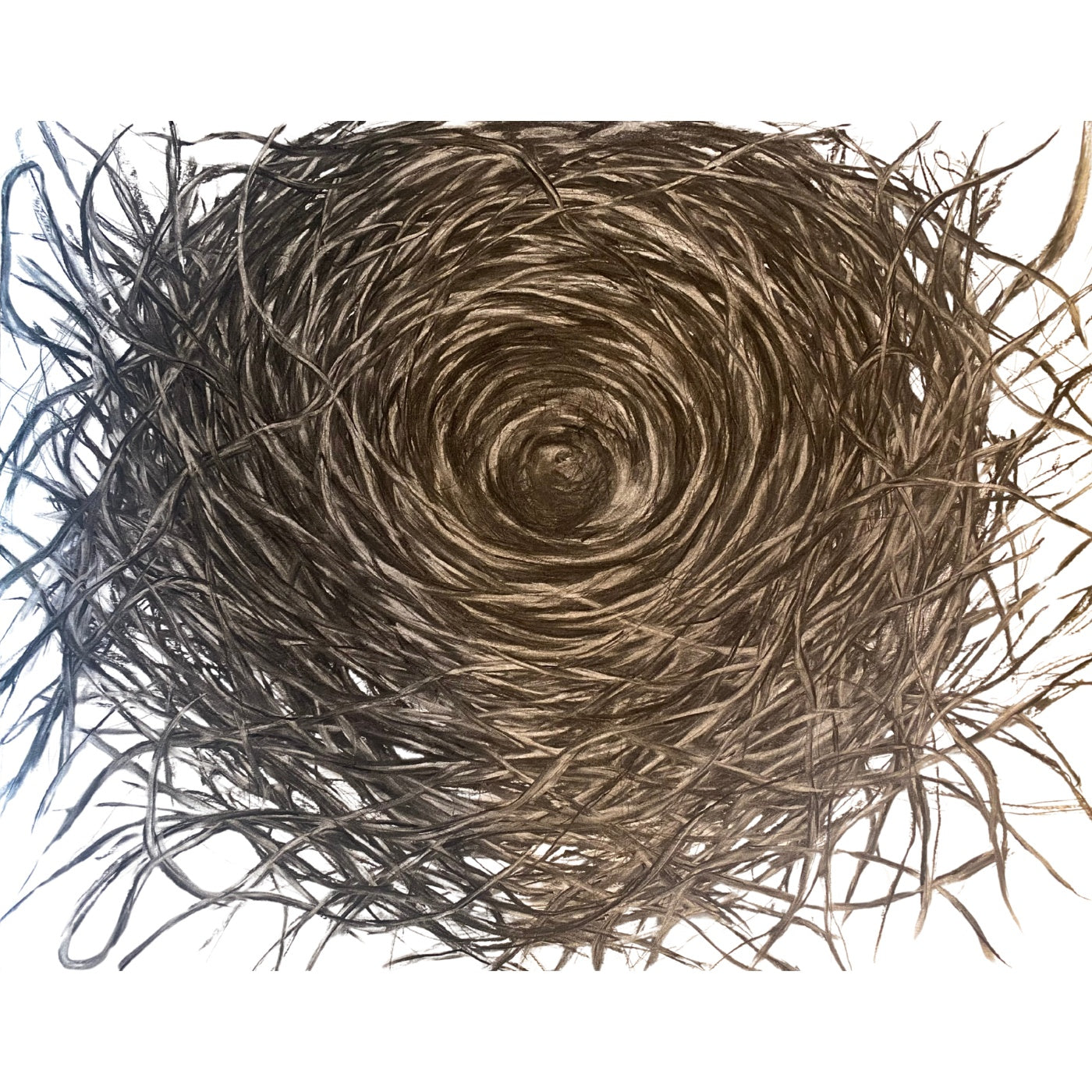 Trish Verdouw -  Nest I