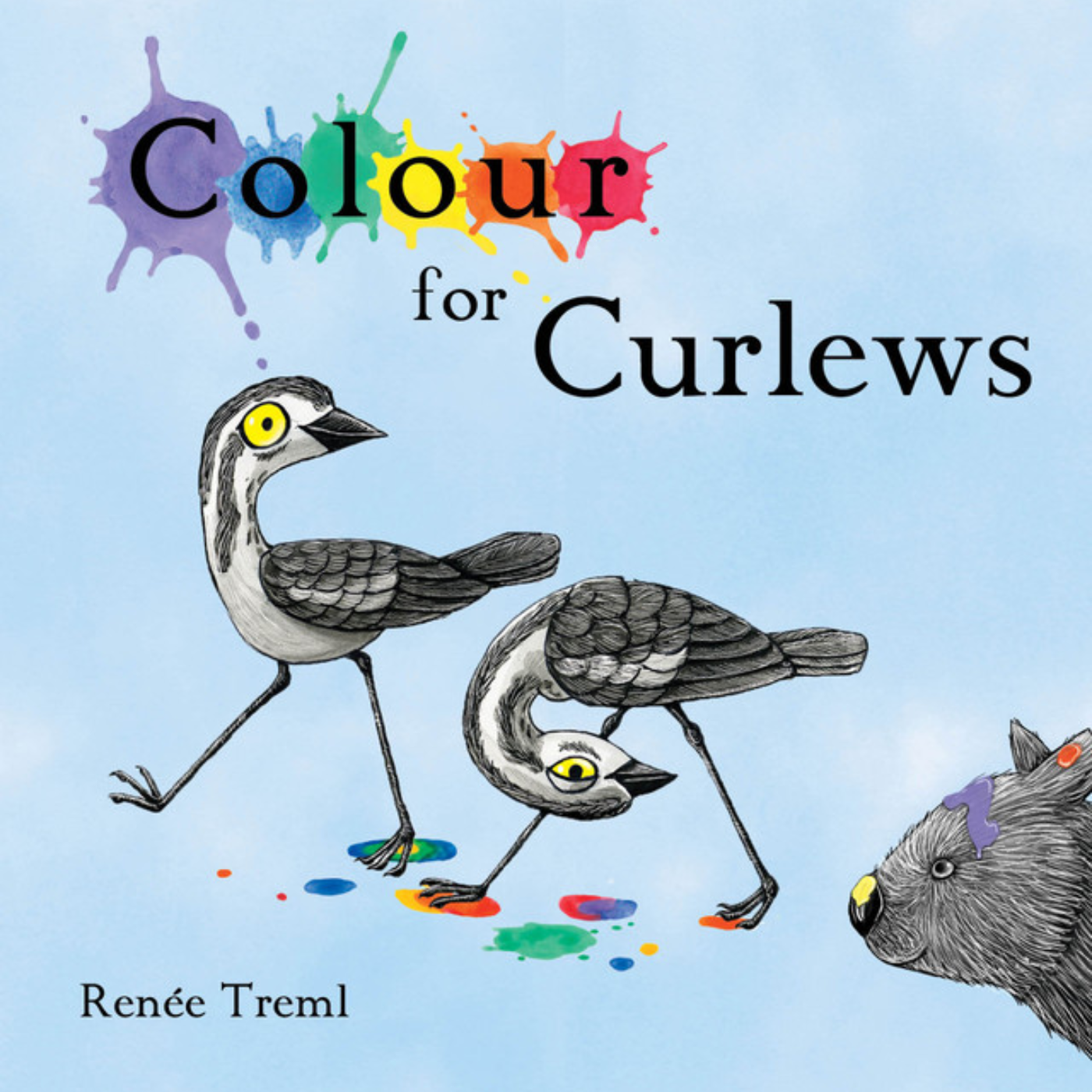 Colour for Curlews