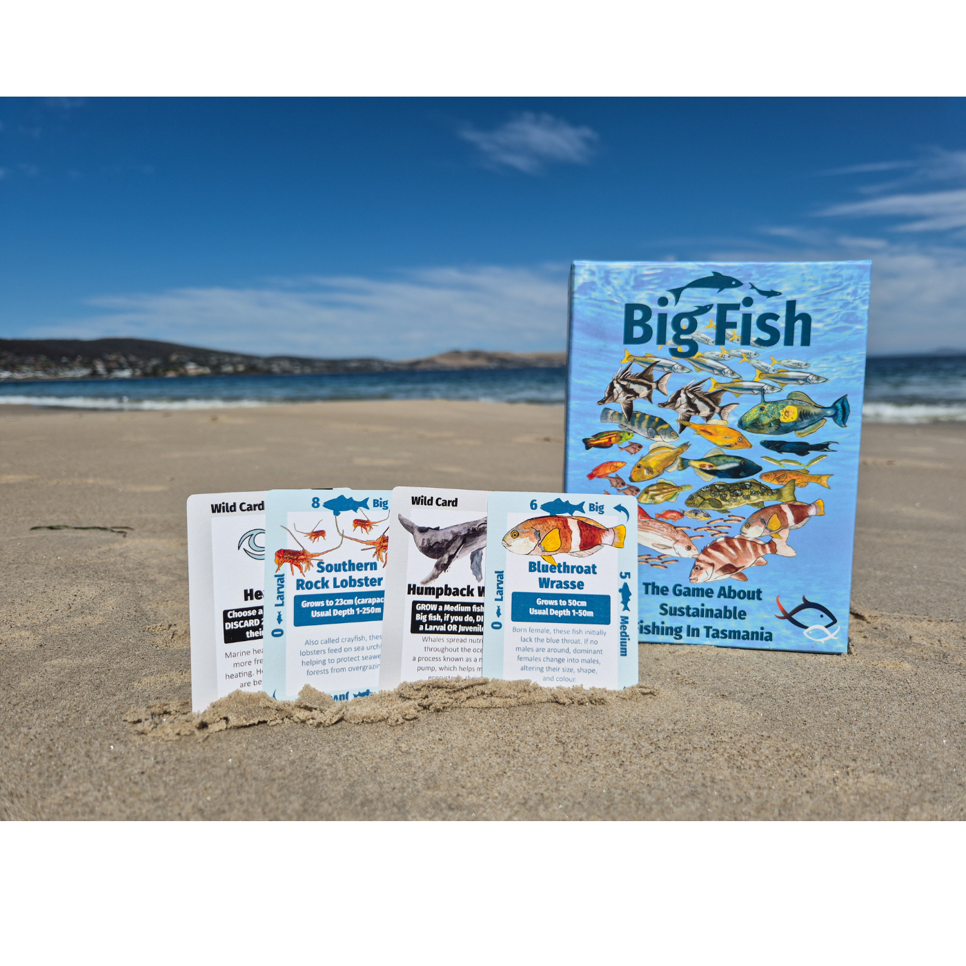 Big Fish Card Game