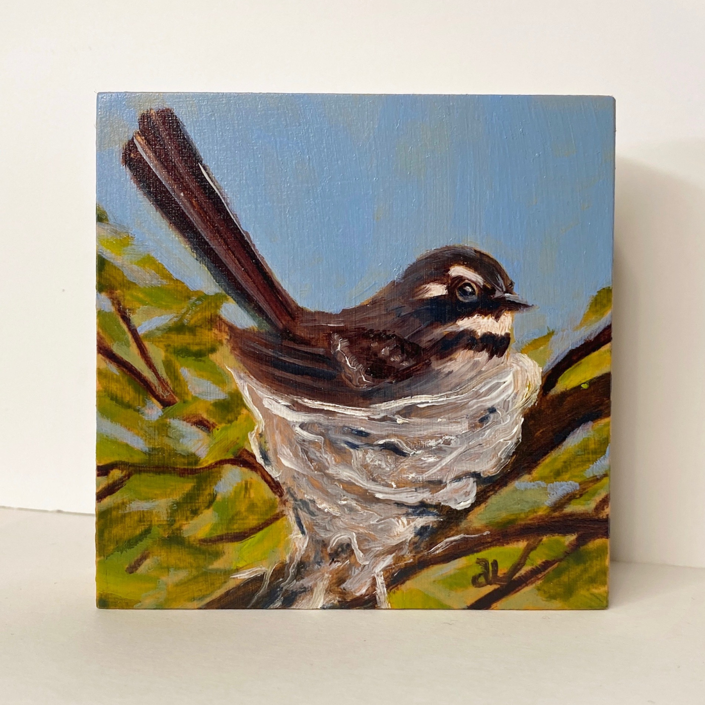 Averill Lawler - Grey Fantail Nesting