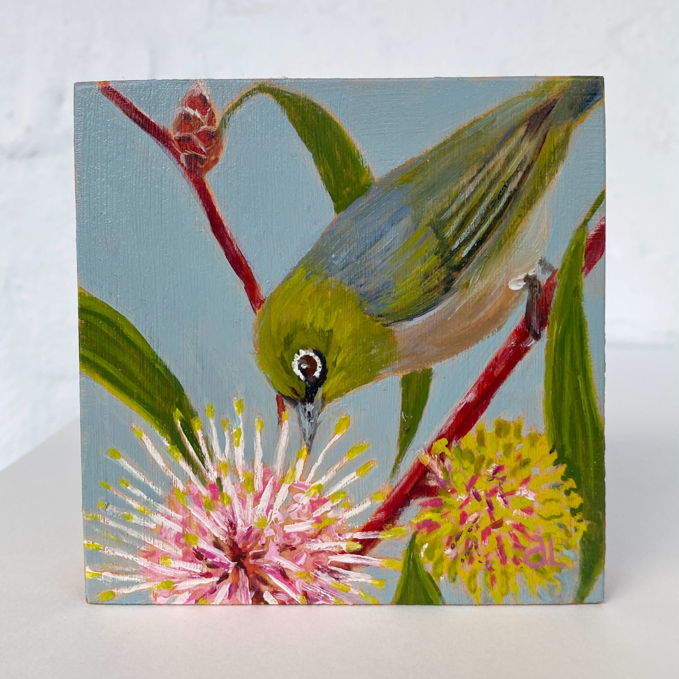 Averill Lawler - Silver Eye & Pincushion Hakea