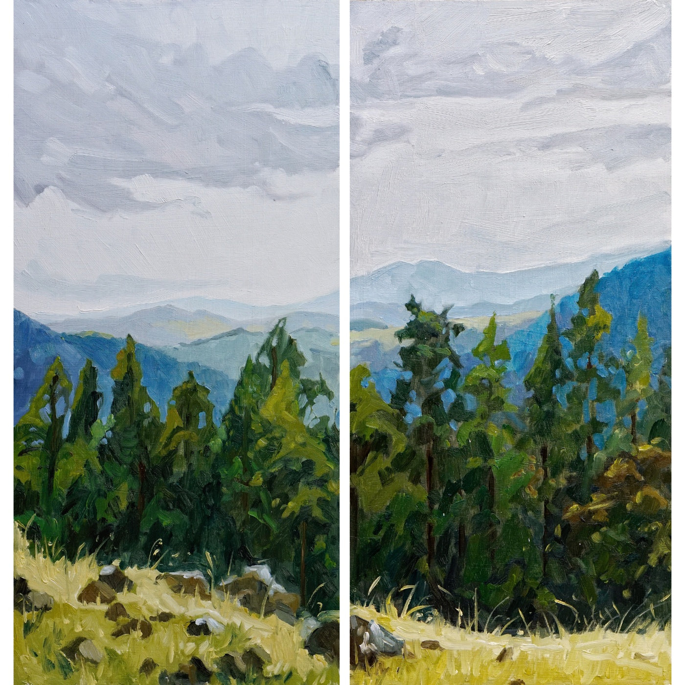 Eleanor Ann Kramer - Layers of the Land (diptych or individual works)