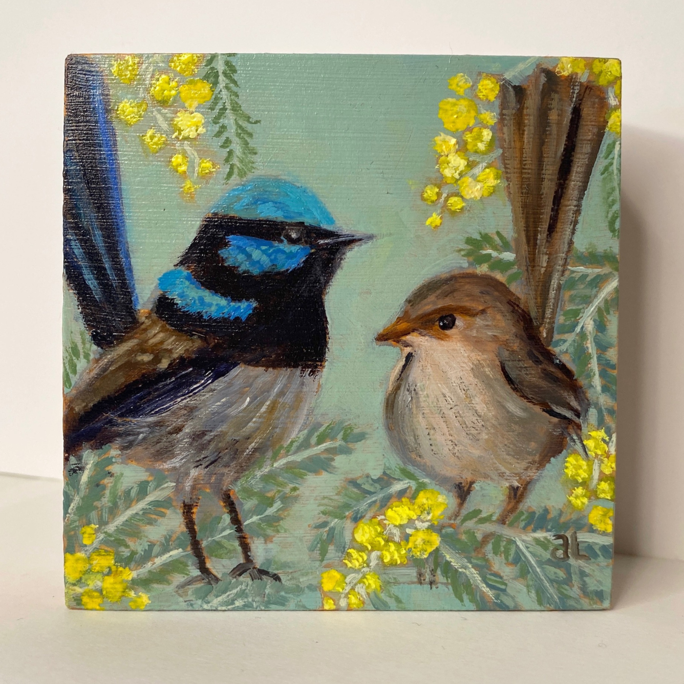 Averill Lawler - Birds of a Feather, Superb Fairy Wrens