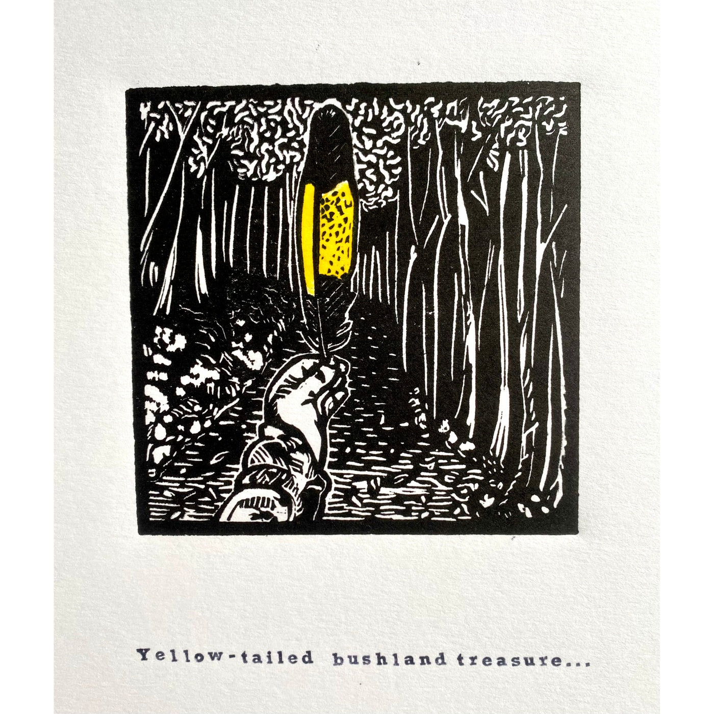 Belinda Hall - Yellow Tailed