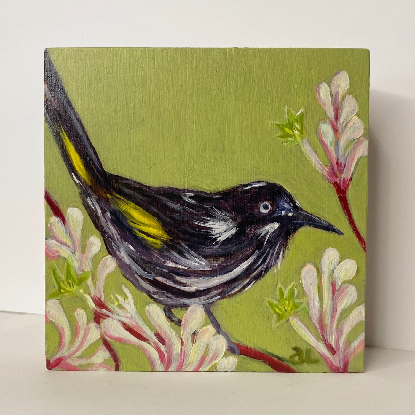 Averill Lawler - New Holland Honeyeater in the Kangaroo Paw