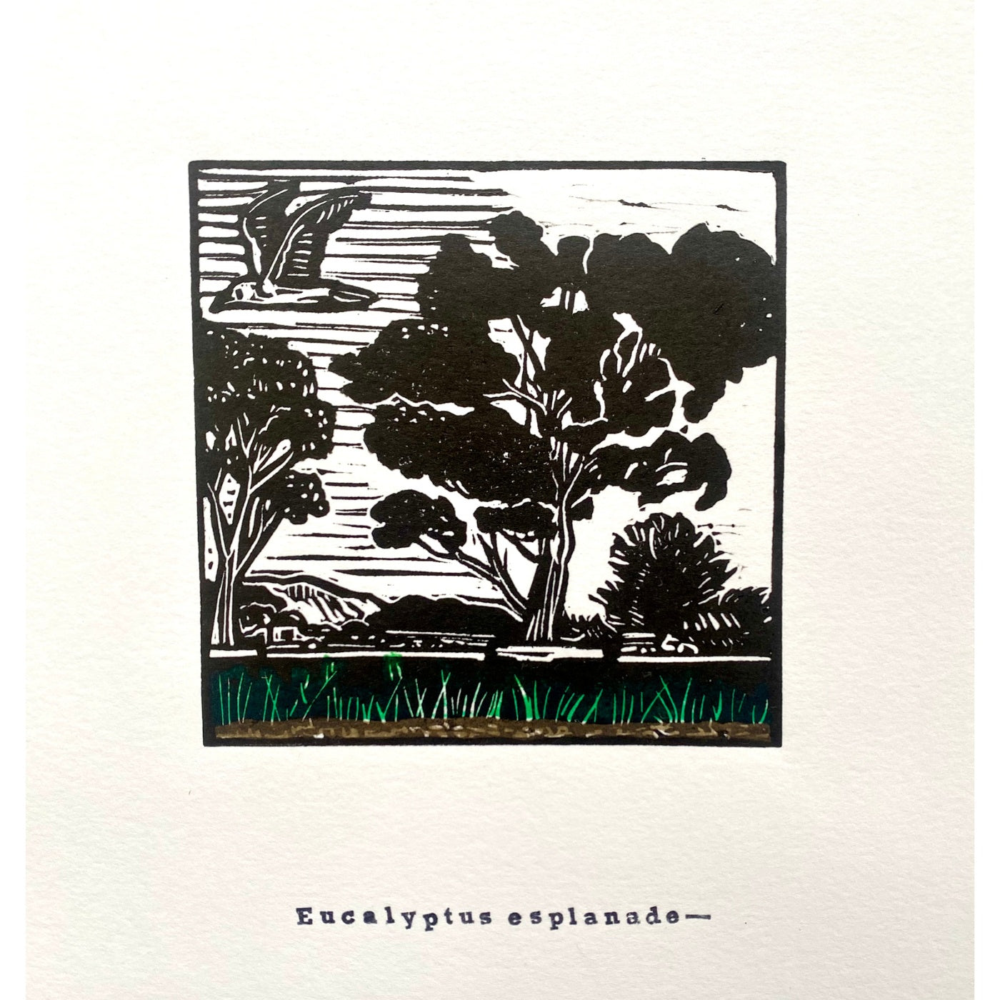 Belinda Hall - Eucalyptus Esplanade