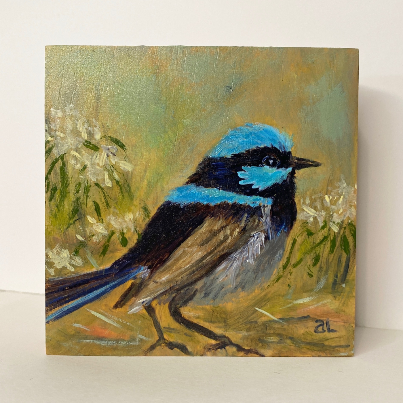 Averill Lawler - Superb Fairy Wren 3