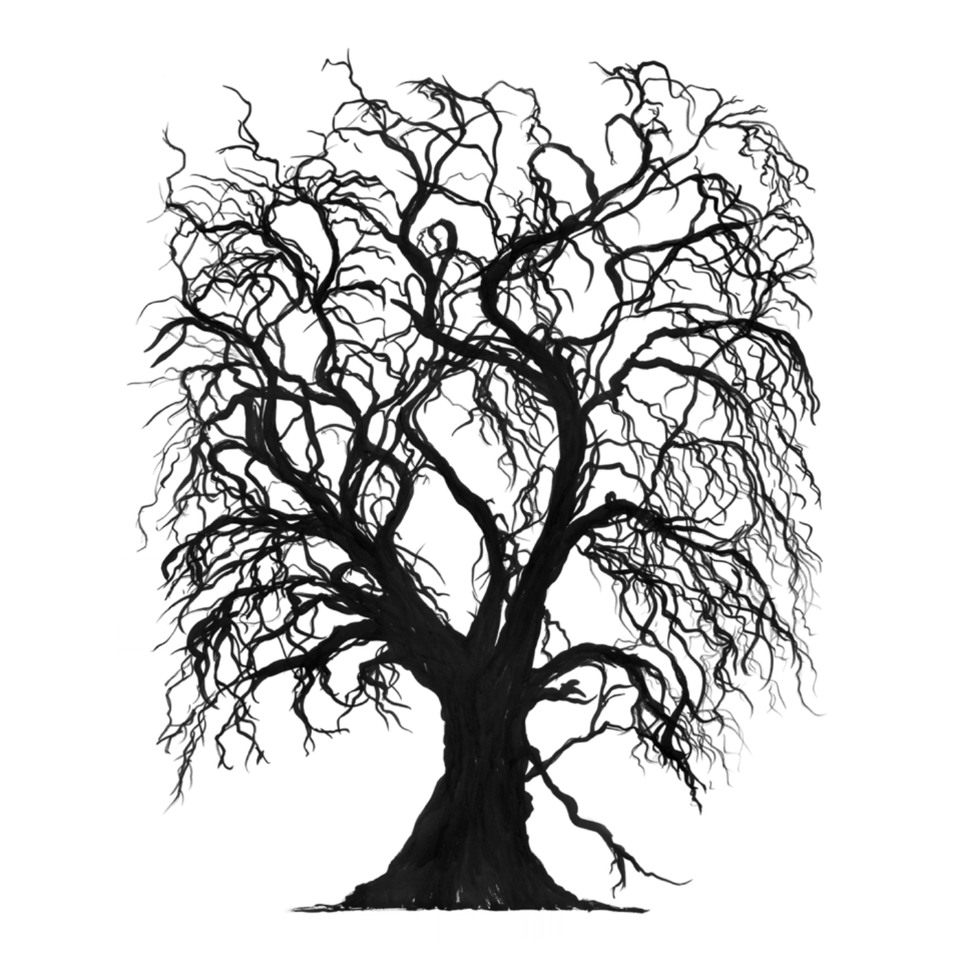 Georgina Richmond - "Cider Gum" Art Print