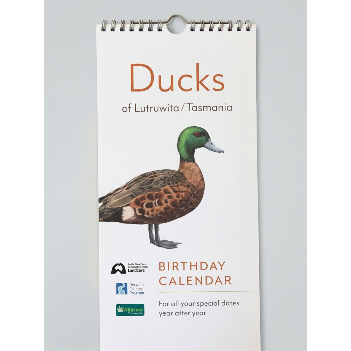 Sam Lyne - Ducks of Tasmania Birthday Calendar