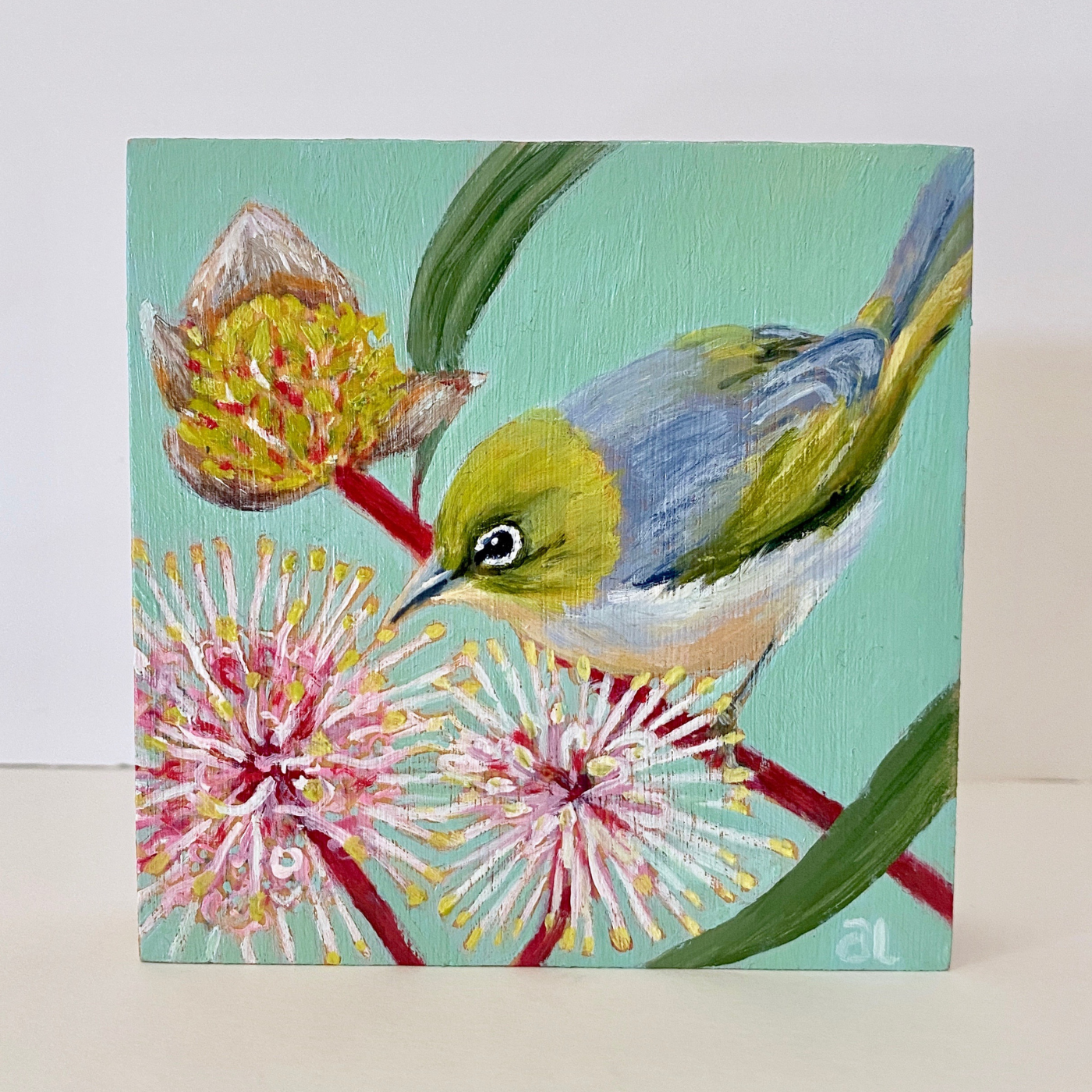 Averill Lawler - Silvereye in the Pincushion Hakea