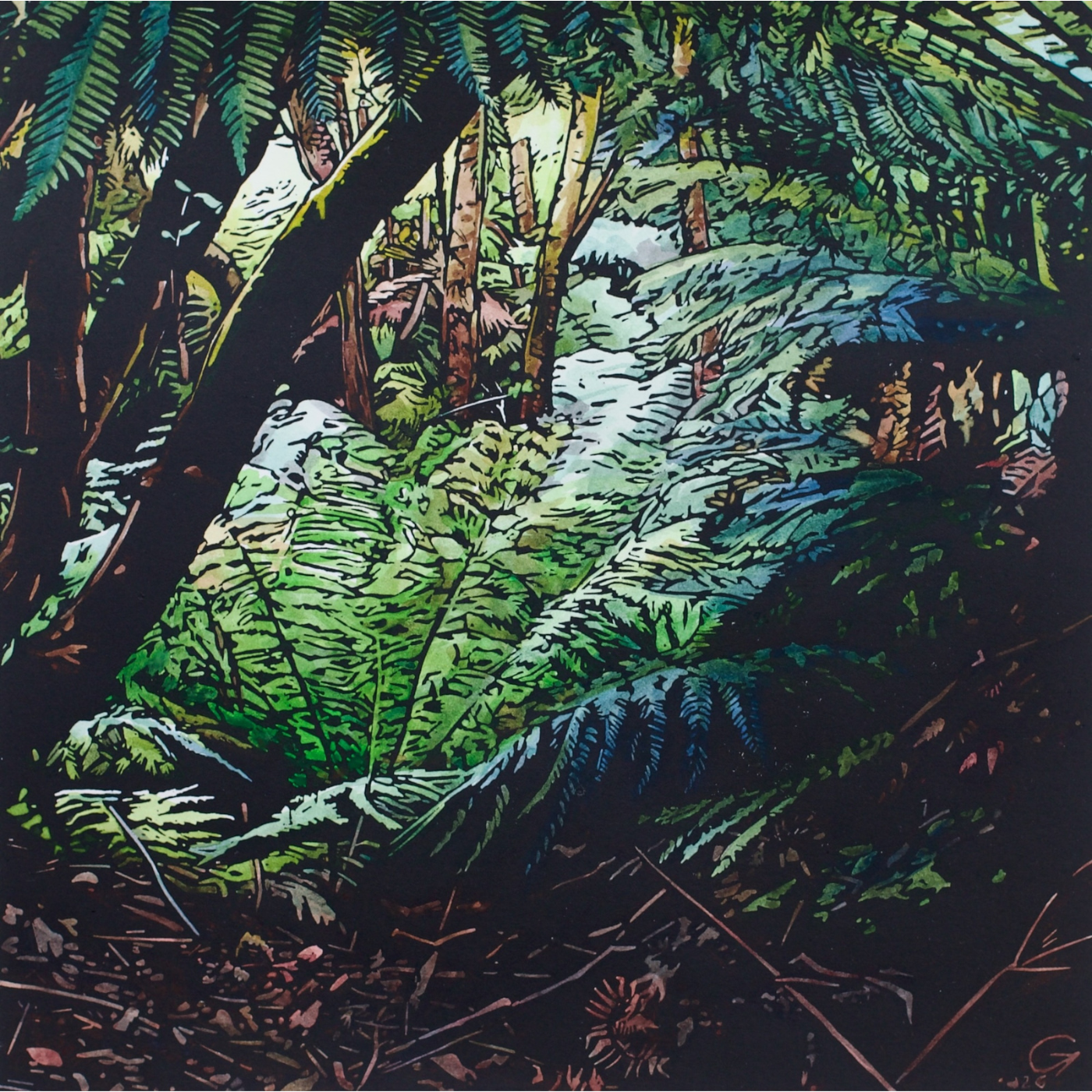 Grace Gladdish - Fern Tree