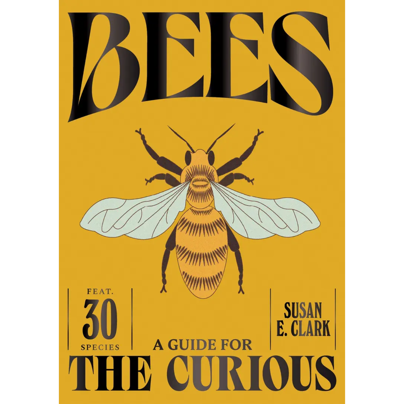 Bees - A Guide for the Curious