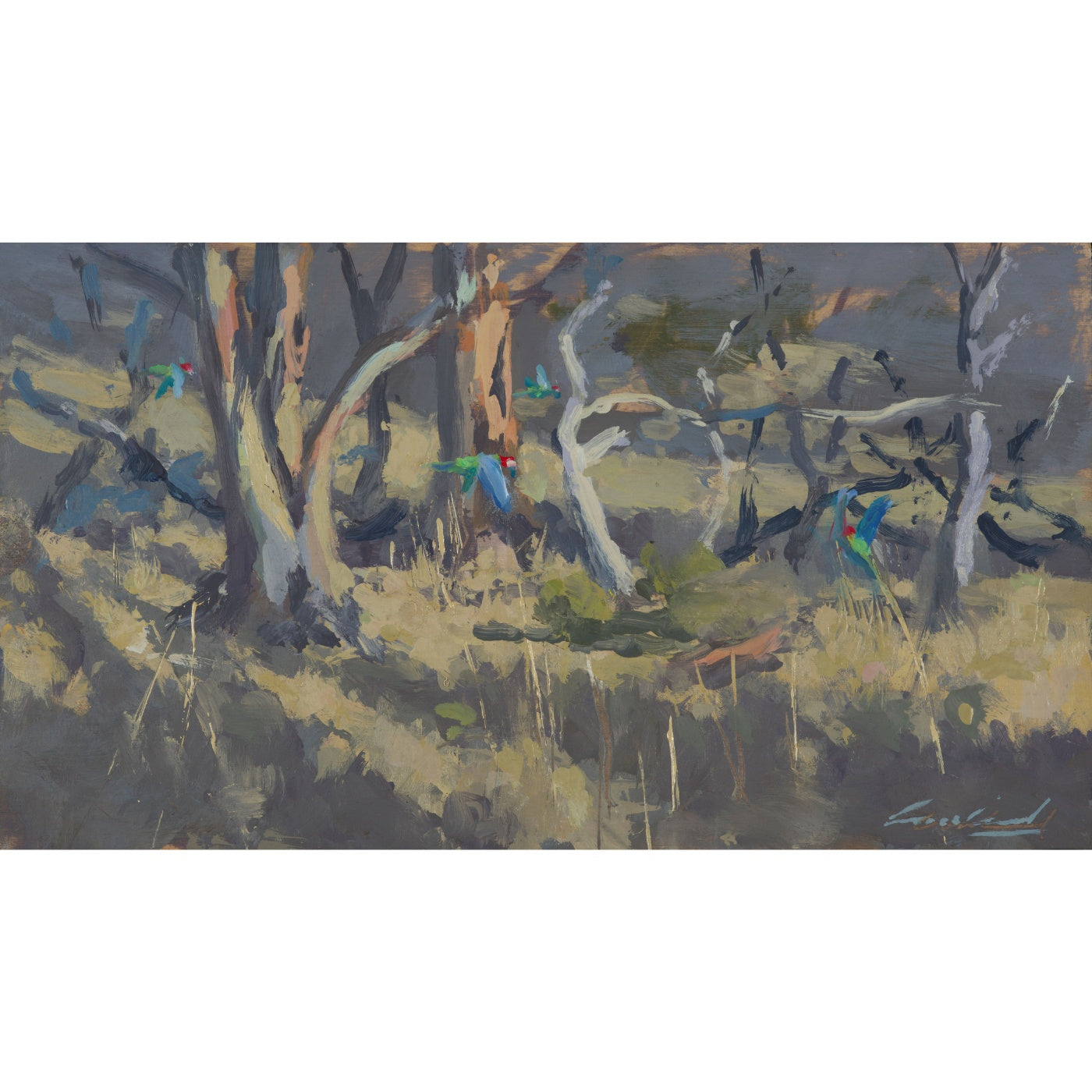Rick Crossland - Rosellas in the Blue Gums