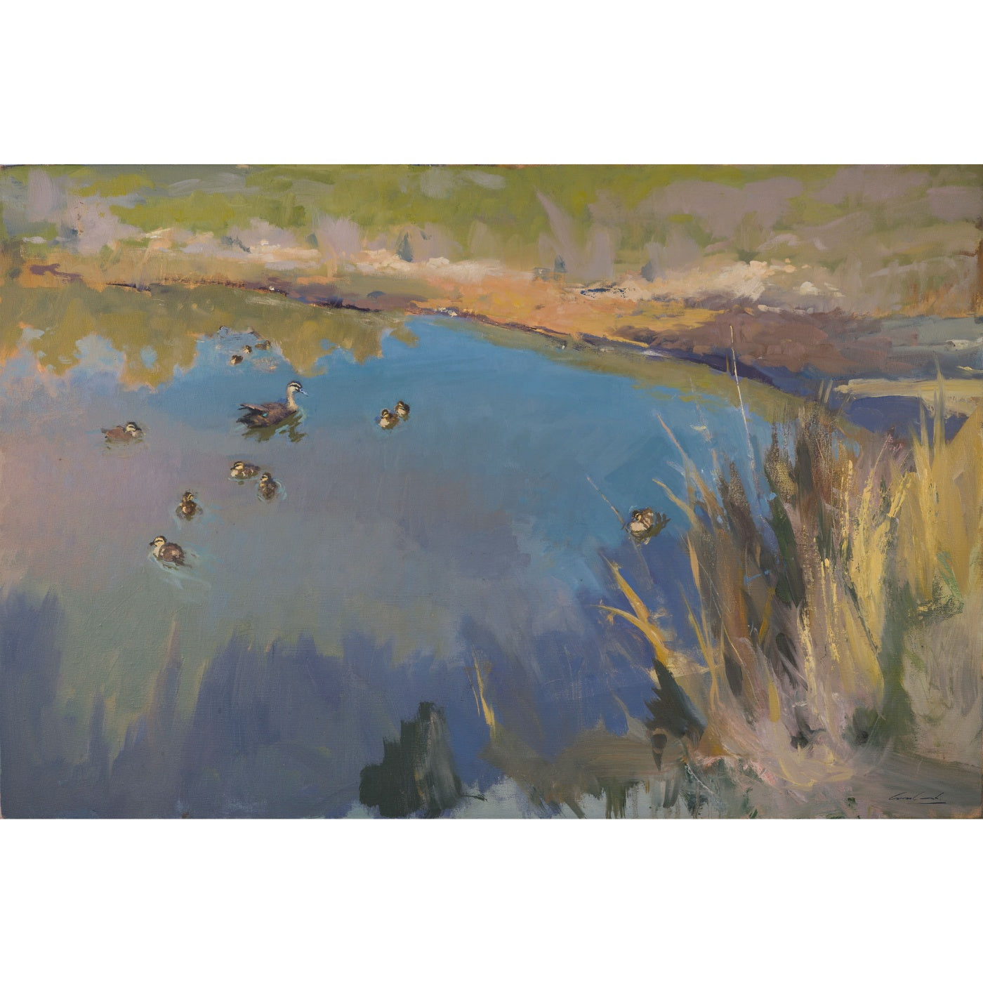 Rick Crossland - Black Ducks at Jan's Dam