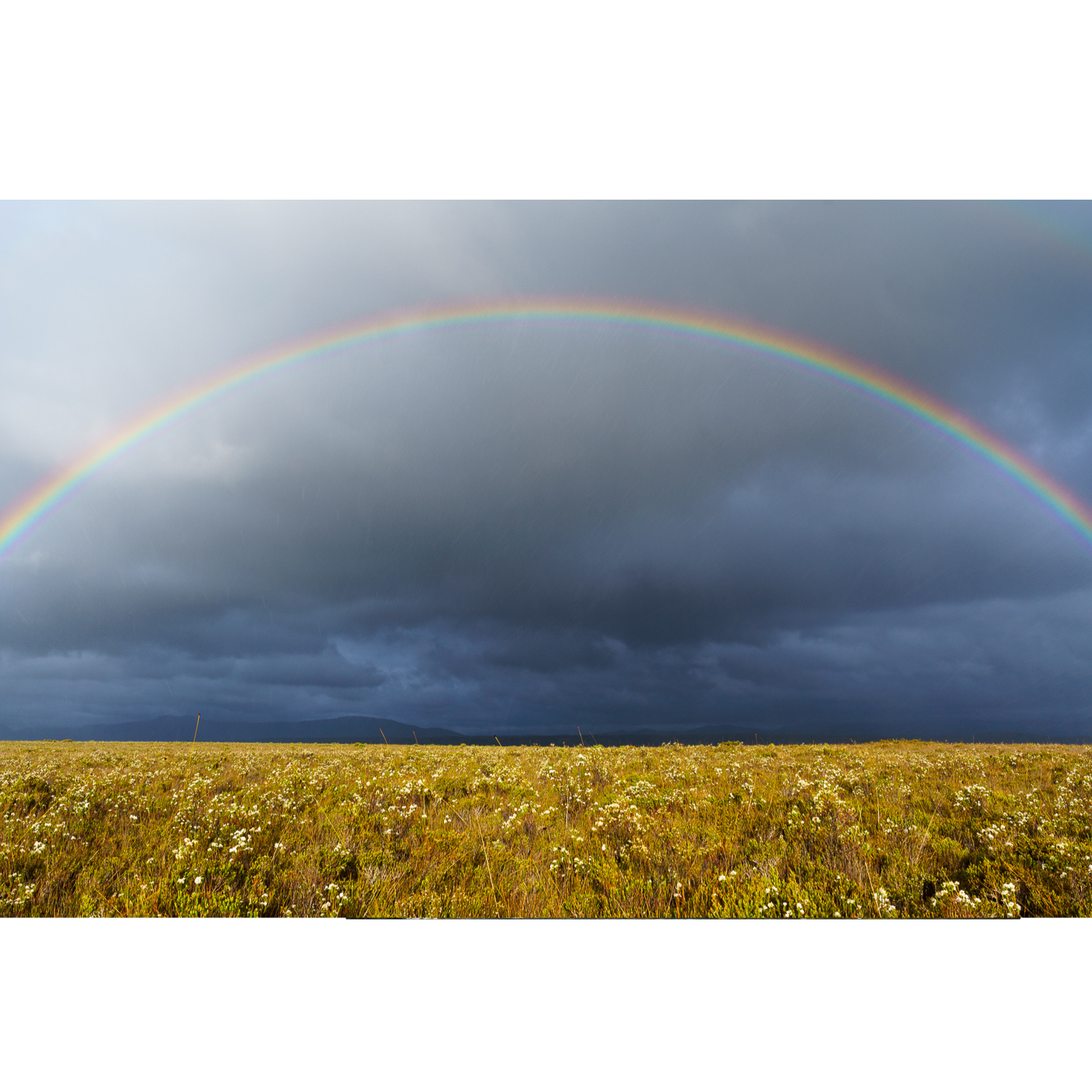 Grant Dixon - Clearing Storm, Florance Creek