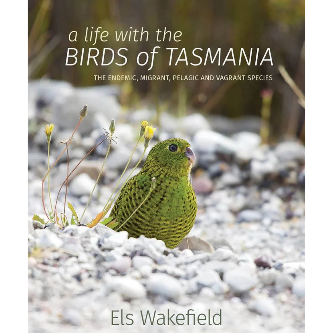 A Life with the Birds of Tasmania