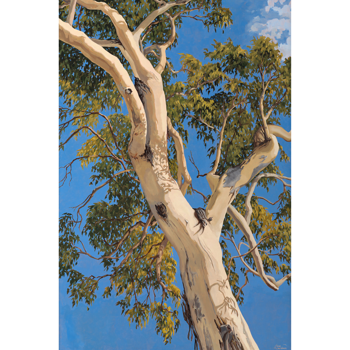 Fiona Verdouw - Seam