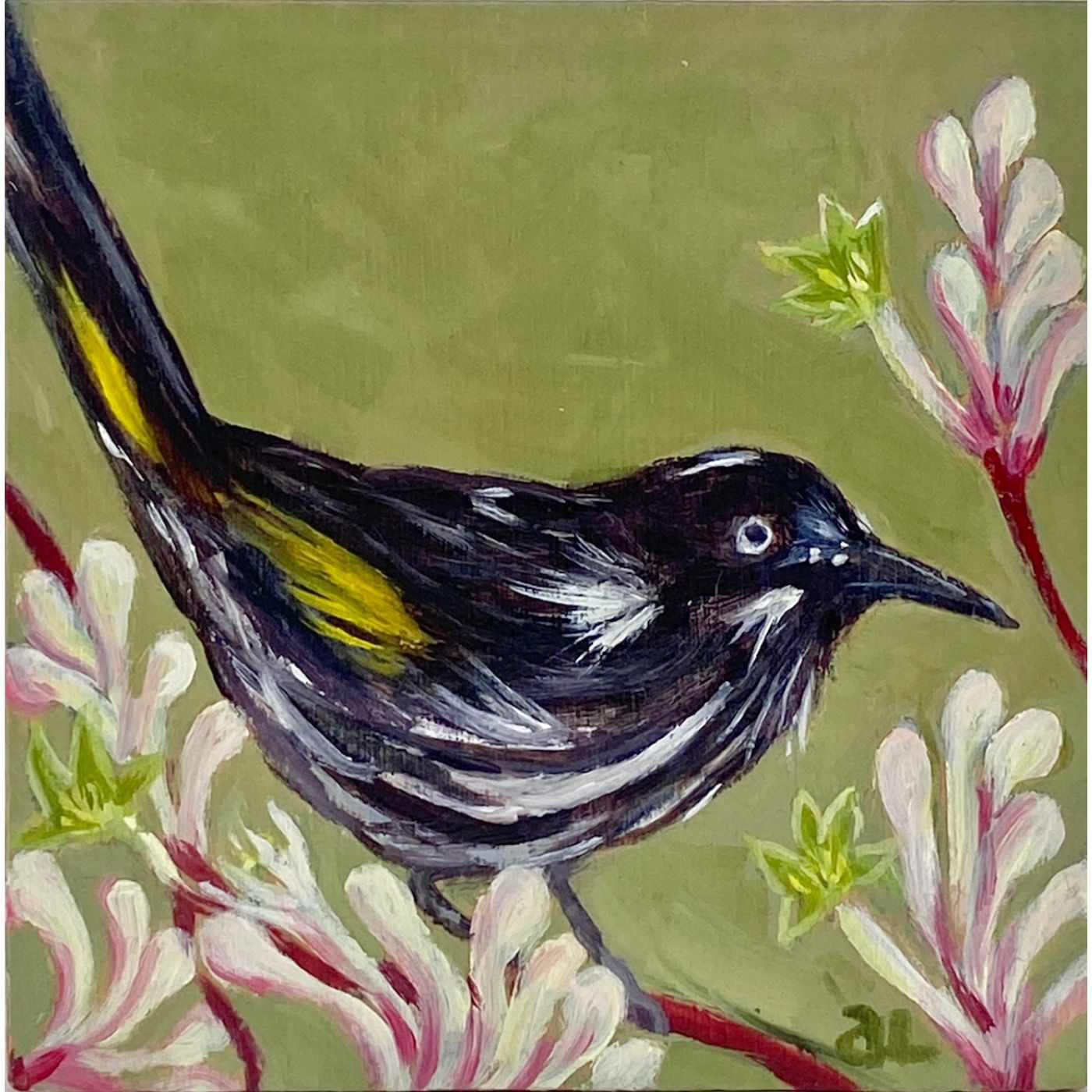 Averill Lawler - New Holland Honeyeater in the Kangaroo Paw