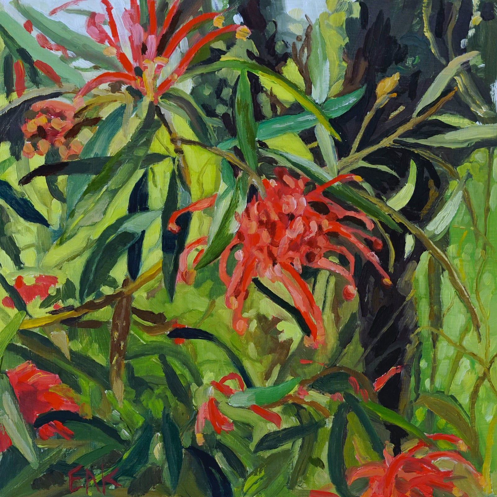 Eleanor Ann Kramer - Waratah Forest