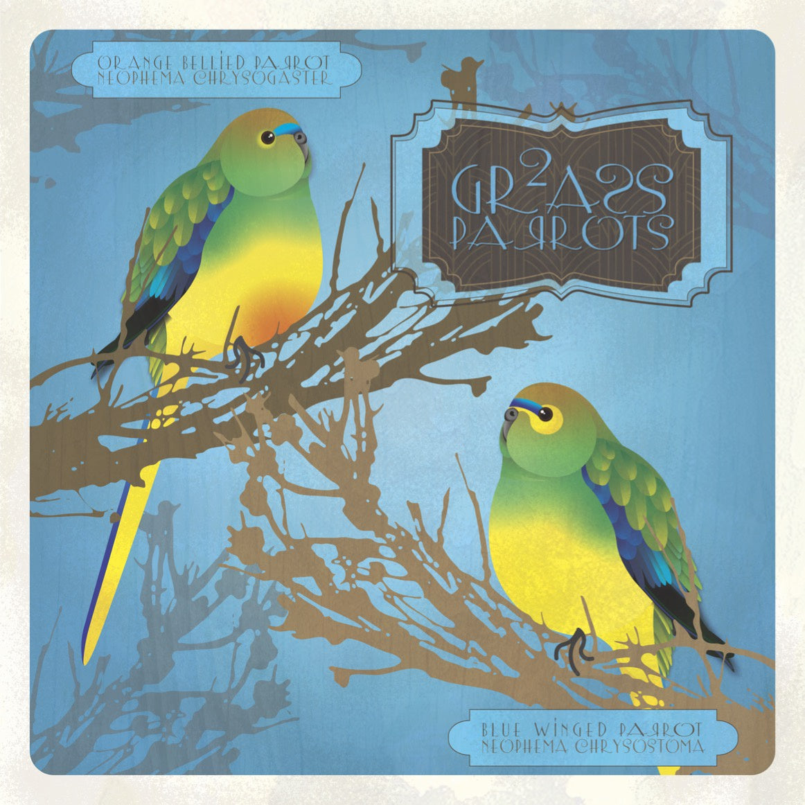 Laura E Kennedy - Double Grass Parrots