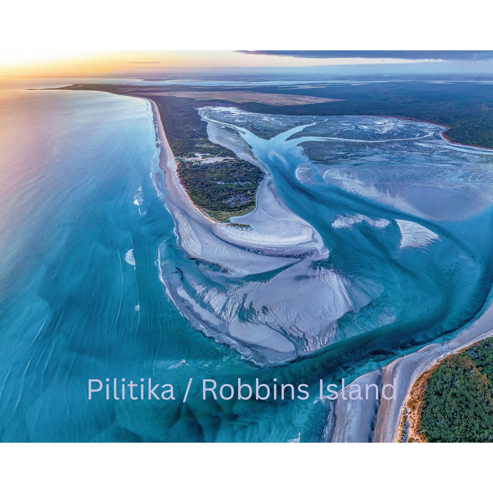 Pilitika / Robbins Island
