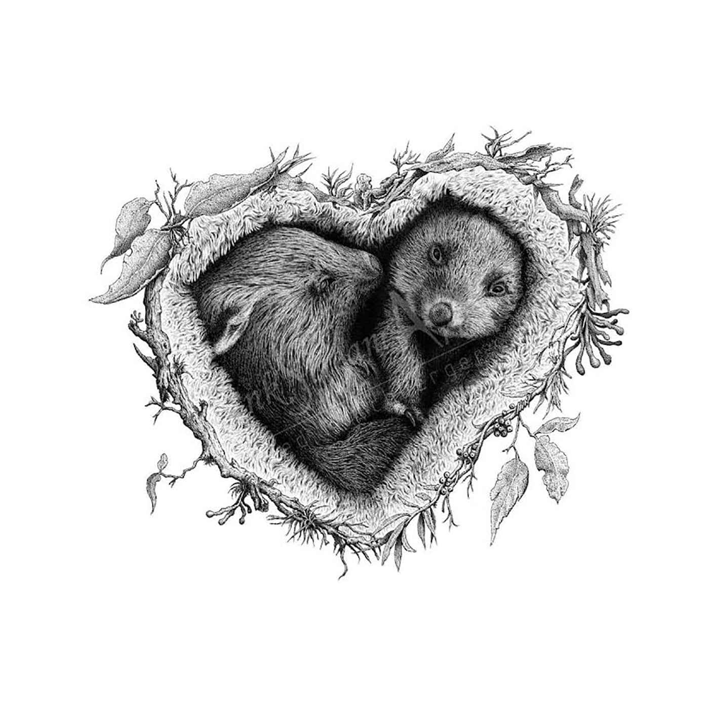 InkstreamArt - Art Print - ‘Wild Hearts’ - Wombat Joeys