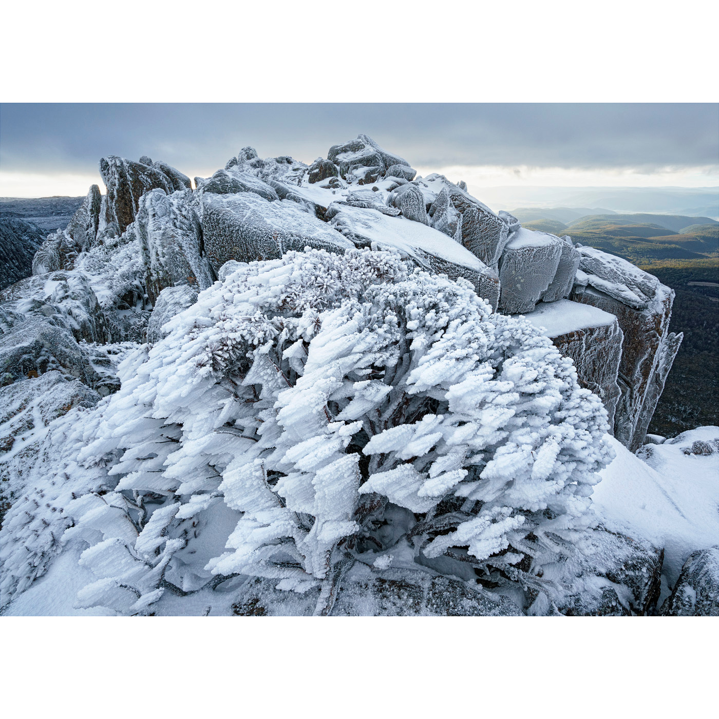 Grant Dixon - Ben Lomond Rime Ice