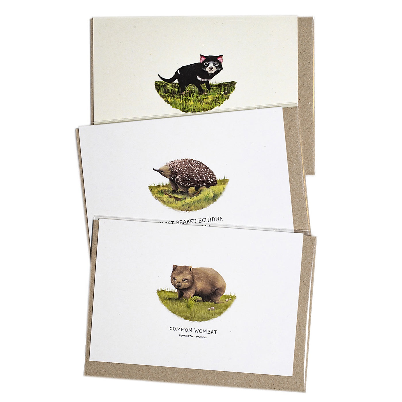 Sam Lyne - Pack of 3 Cards