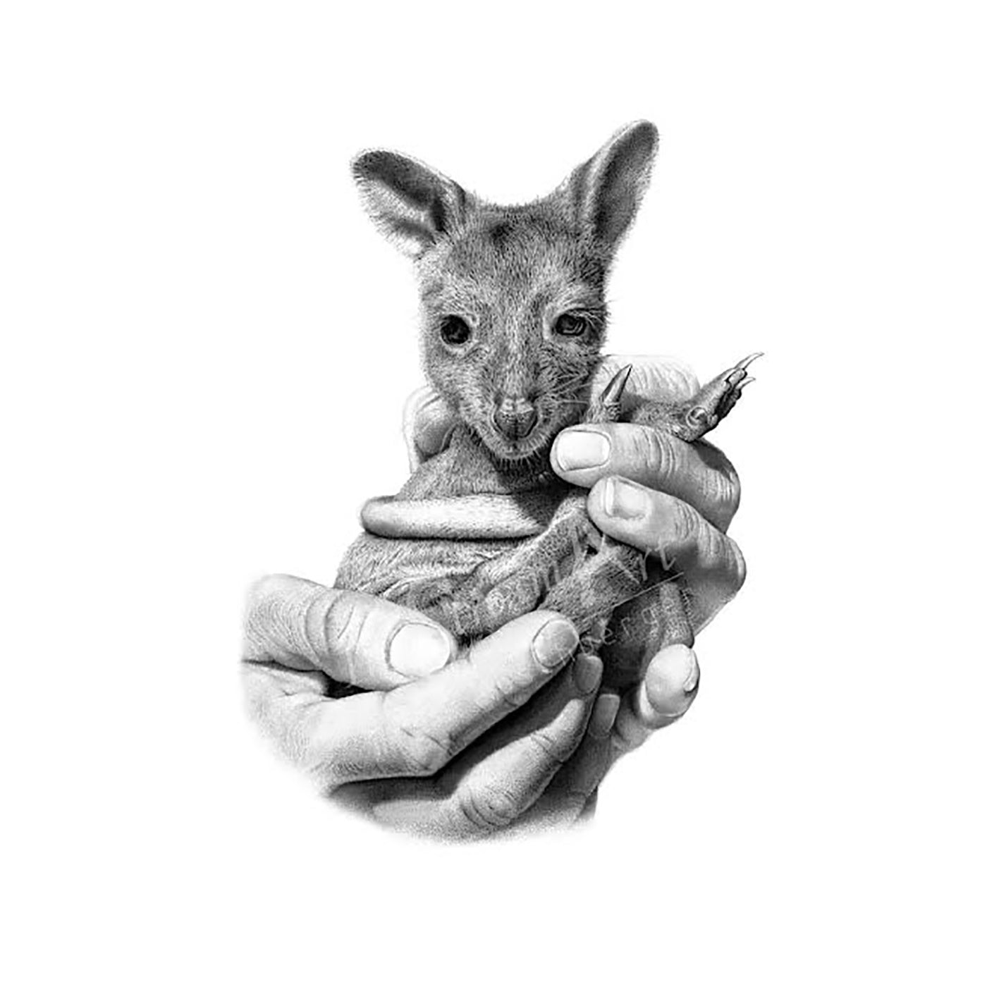 InkStreamArt - Art Print - ‘SecondChance’ - Pademelon Joey