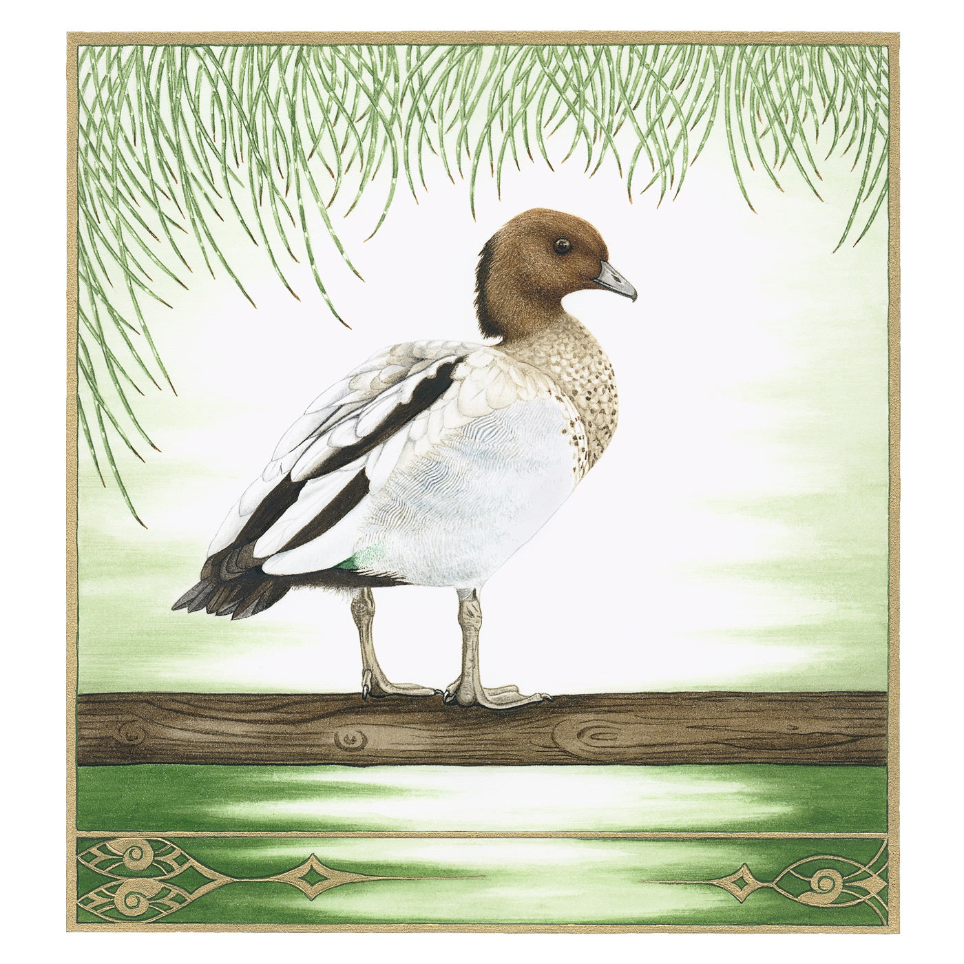 Sylvie Gerozisis - Birds of Tasmania - Art Print - Wood Duck, Male