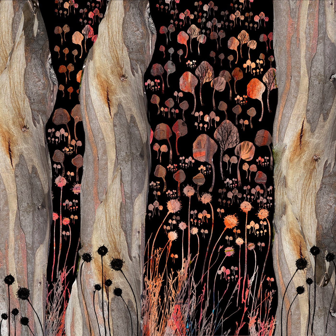 Barbara Tassell - Colours from kunanyi