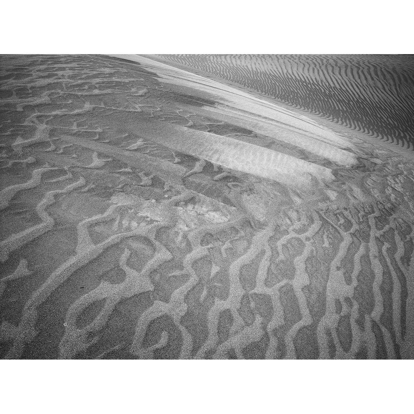Chris Bell - Sand Dunes